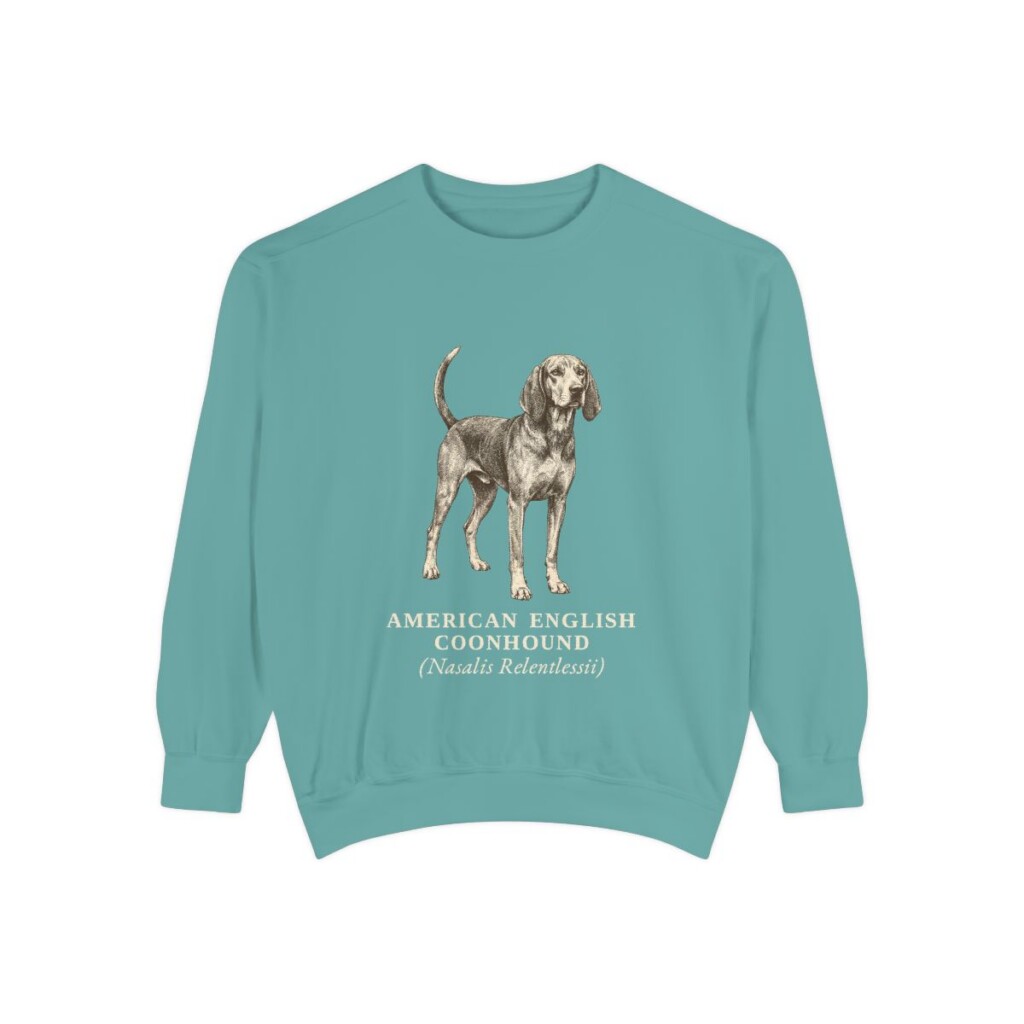American English Coonhound Latin Sweatshirt, Seafoam, front view