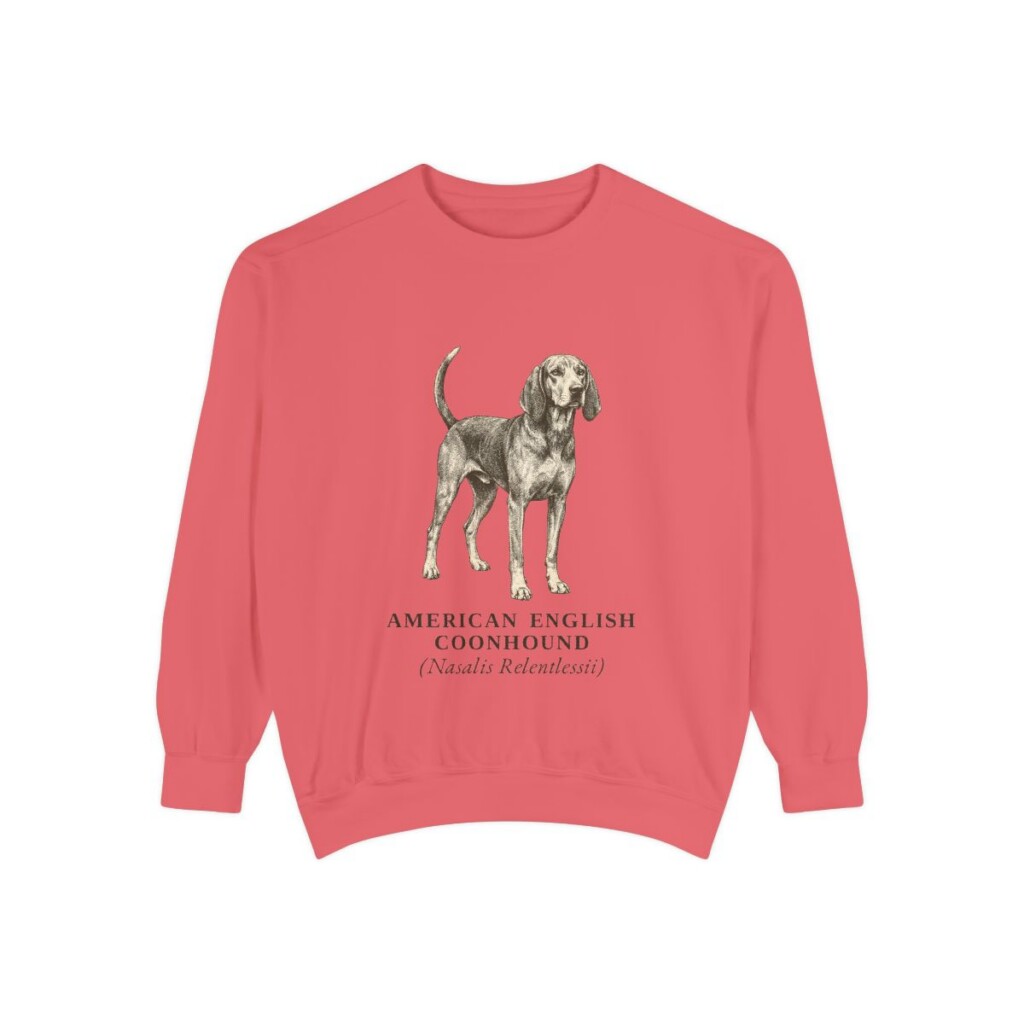 American English Coonhound Latin Sweatshirt, Watermelon, front view