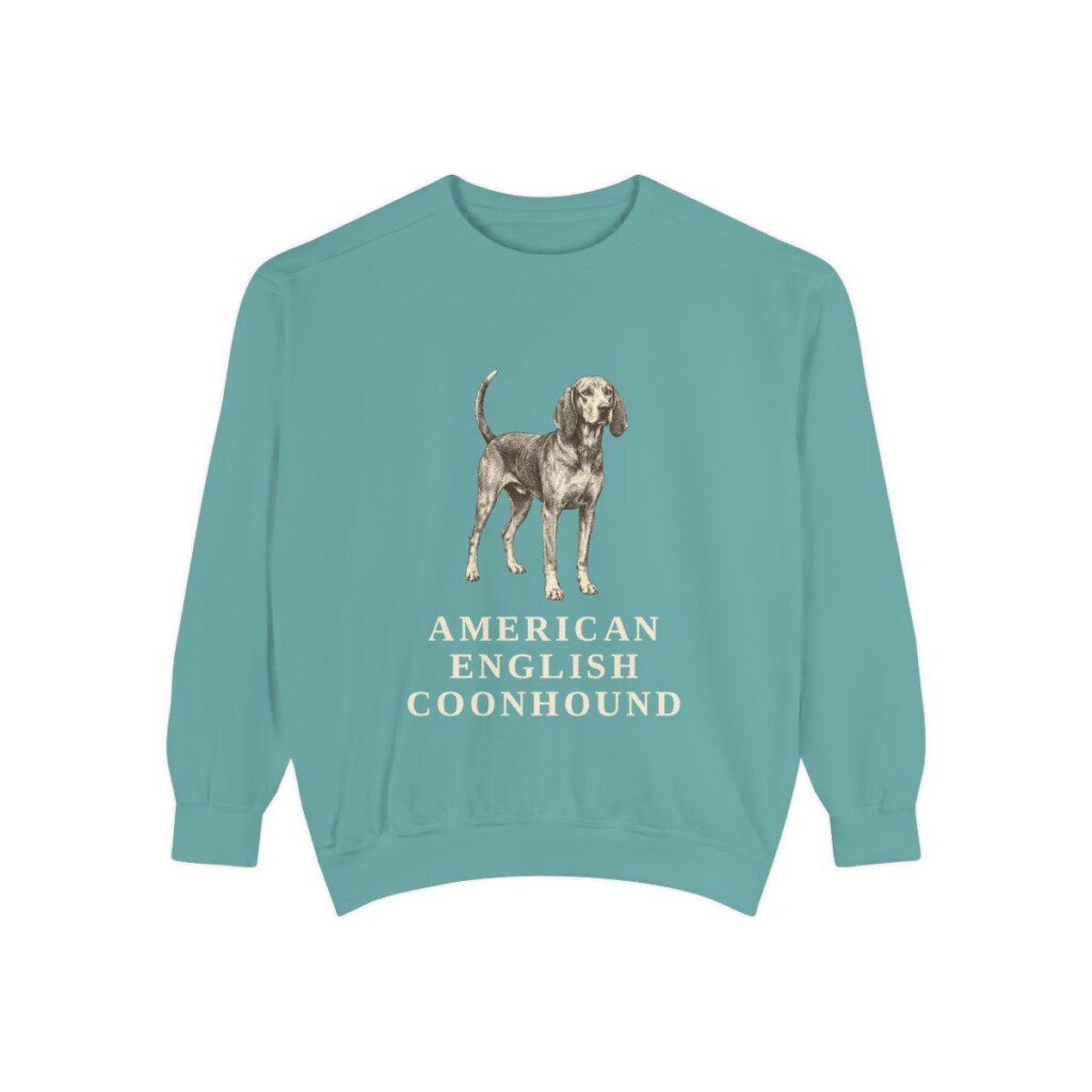 American English Coonhound Sweatshirt, Seafoam, front view