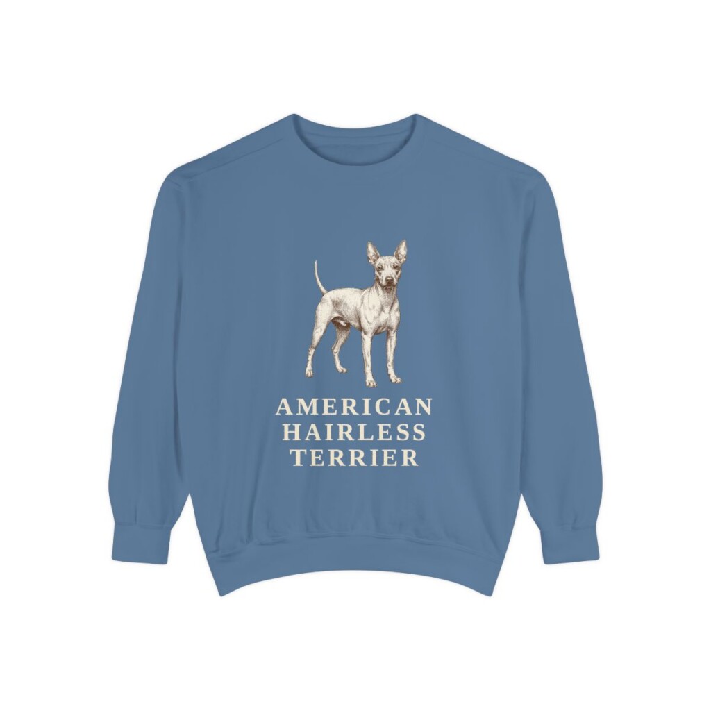 American Hairless Terrier Sweatshirt, Blue Jean, front view