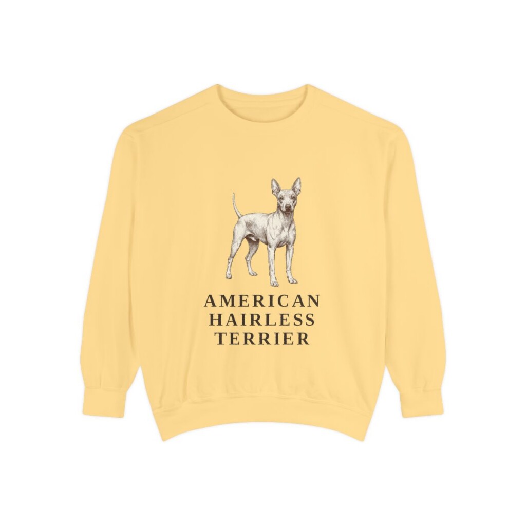 American Hairless Terrier Sweatshirt, Butter, front view