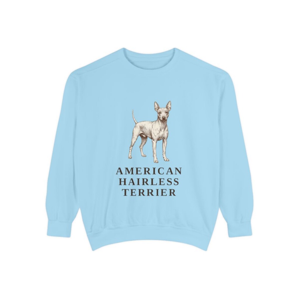 American Hairless Terrier Sweatshirt, Chambray, front view