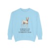 American Hairless Terrier Dad Sweatshirt, Chambray, front view