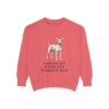 American Hairless Terrier Dad Sweatshirt, Watermelon, front view