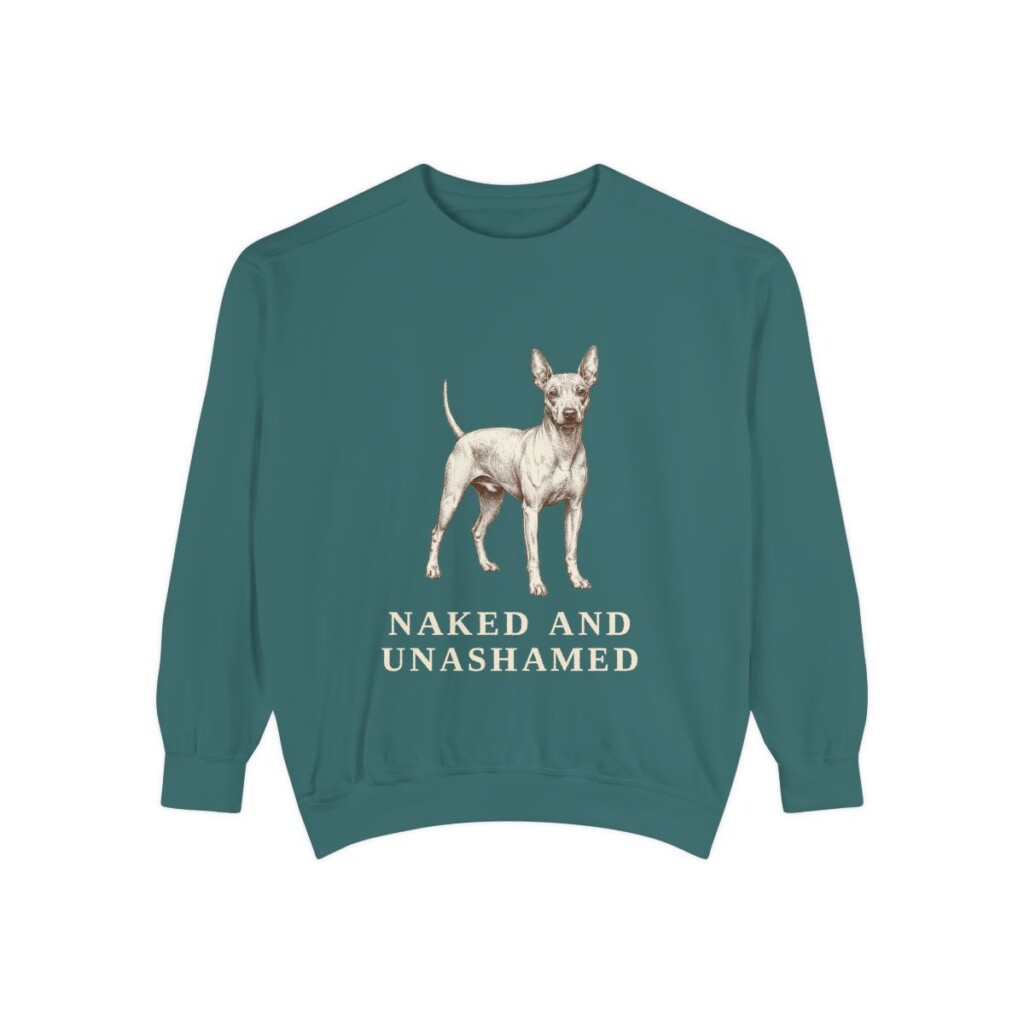 American Hairless Terrier Humor Sweatshirt, Blue Spruce, front view