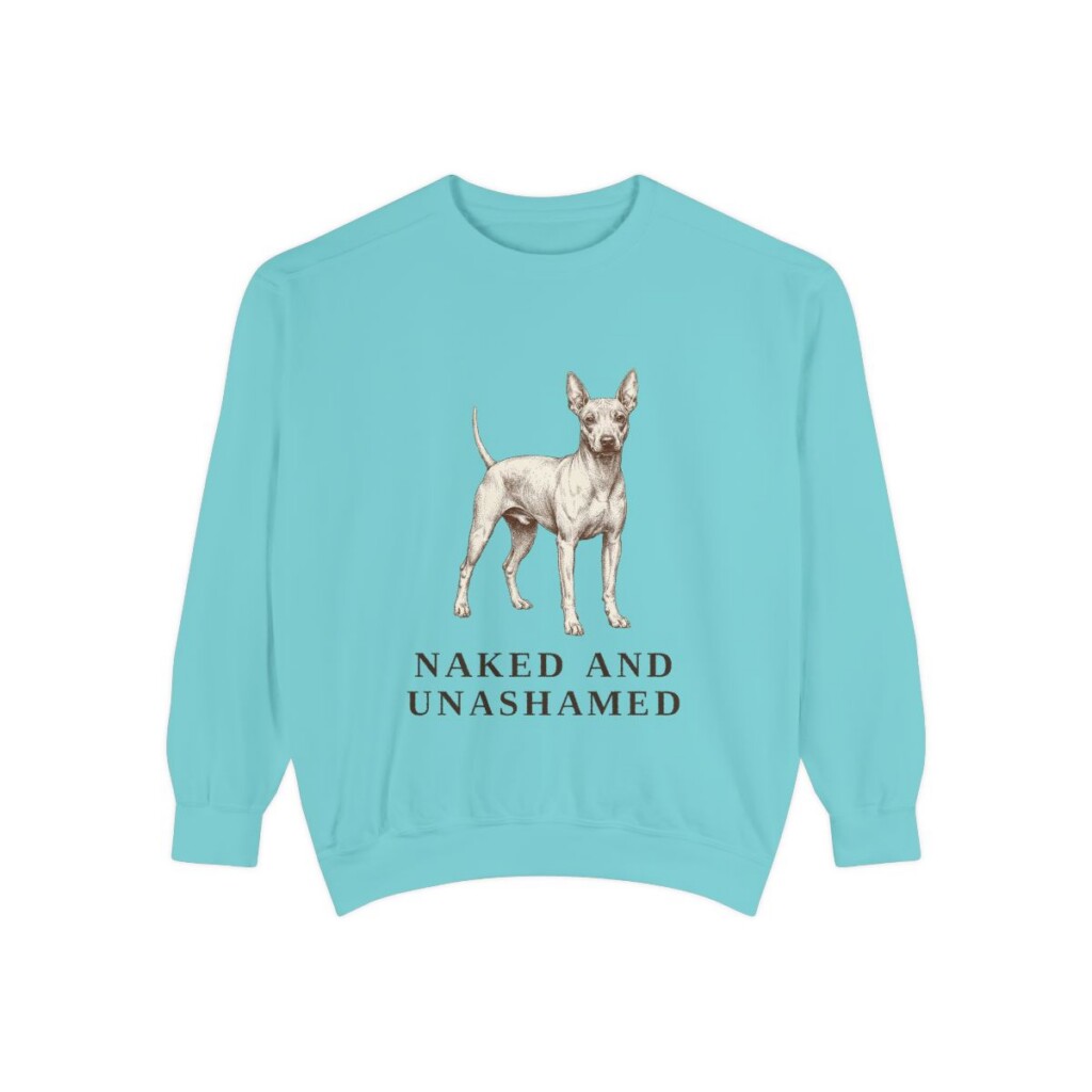 American Hairless Terrier Humor Sweatshirt, Chalky Mint, front view