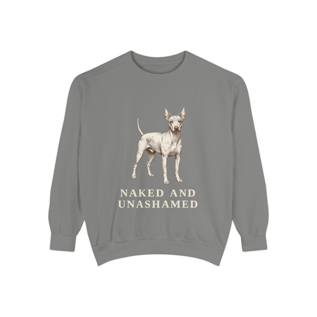 American Hairless Terrier Humor Sweatshirt, Grey, front view