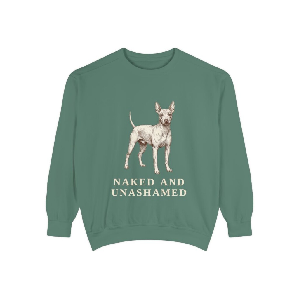 American Hairless Terrier Humor Sweatshirt, Light Green, front view
