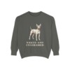 American Hairless Terrier Humor Sweatshirt, Pepper, front view
