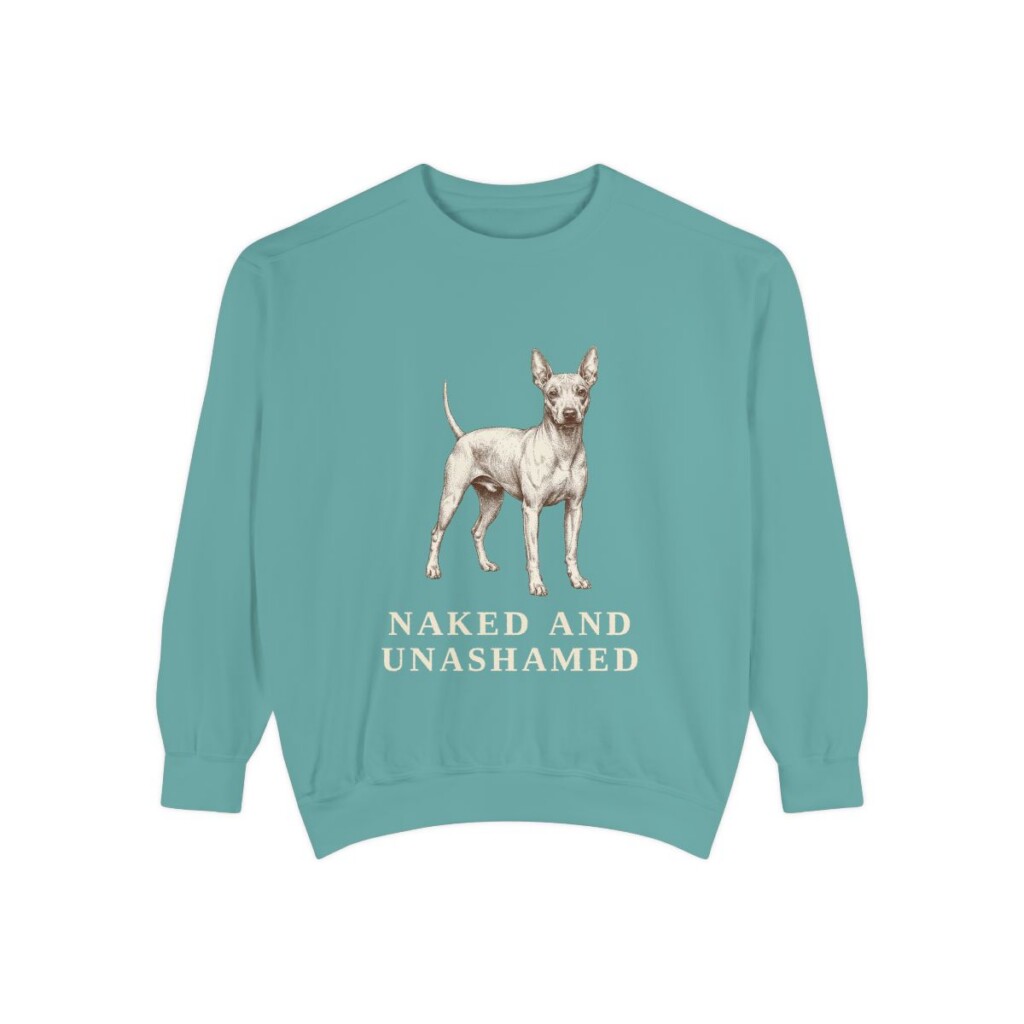 American Hairless Terrier Humor Sweatshirt, Seafoam, front view