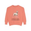American Hairless Terrier Humor Sweatshirt, Terracotta, front view