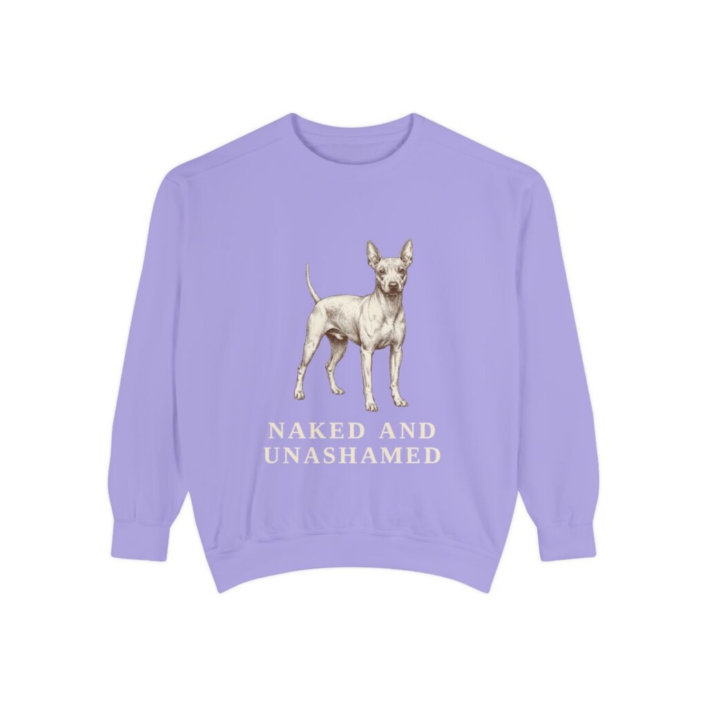American Hairless Terrier Humor Sweatshirt, Violet, front view