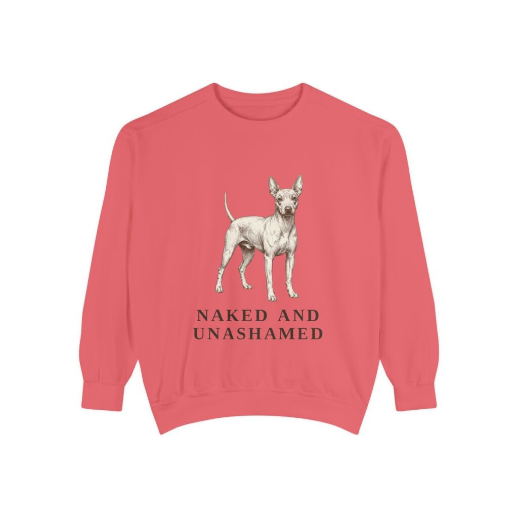 American Hairless Terrier Humor Sweatshirt, Watermelon, front view