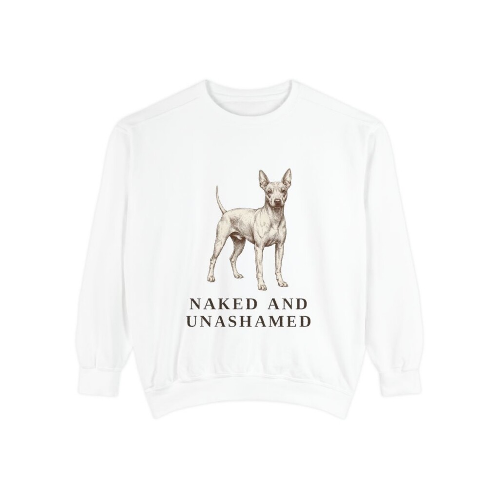 American Hairless Terrier Humor Sweatshirt, White, front view