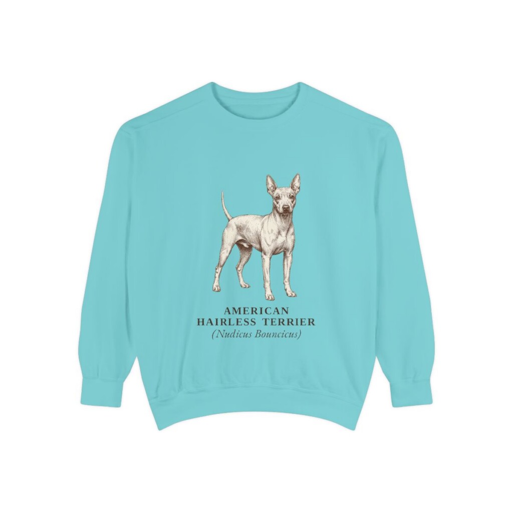 American Hairless Terrier Latin Sweatshirt, Chalky Mint, front view