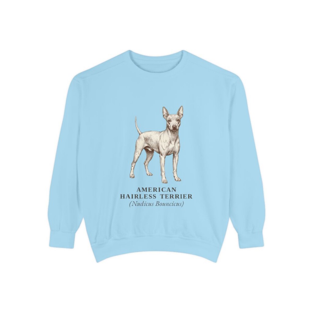American Hairless Terrier Latin Sweatshirt, Chambray, front view