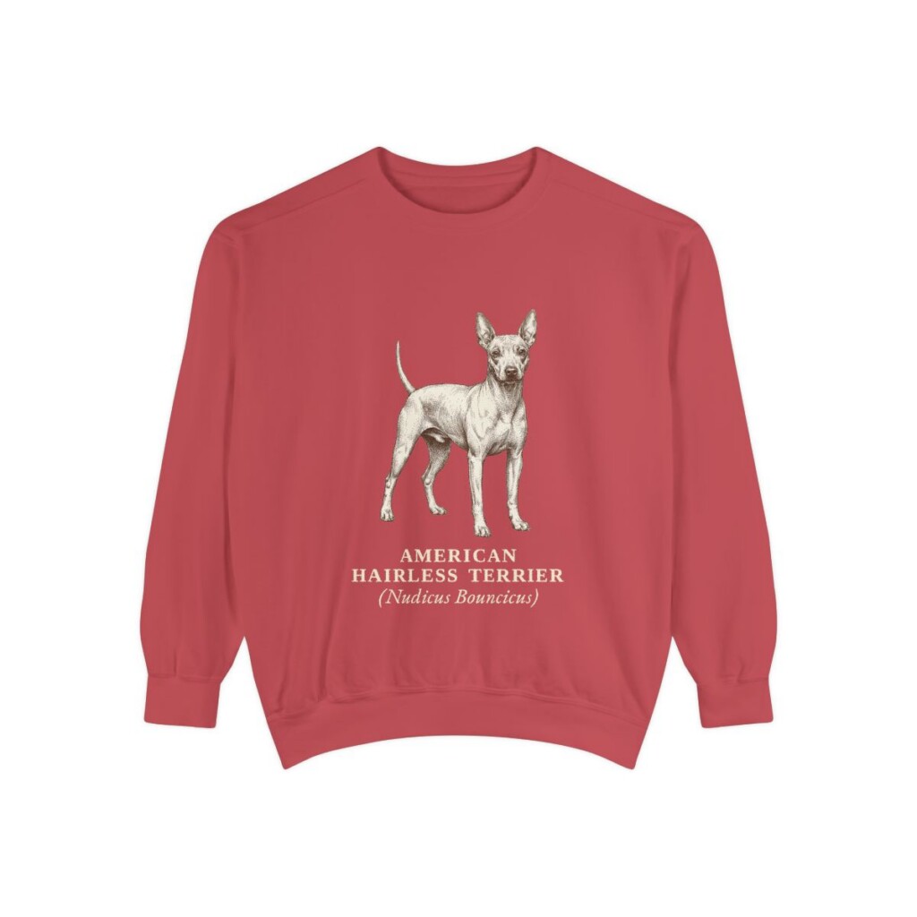 American Hairless Terrier Latin Sweatshirt, Crimson, front view