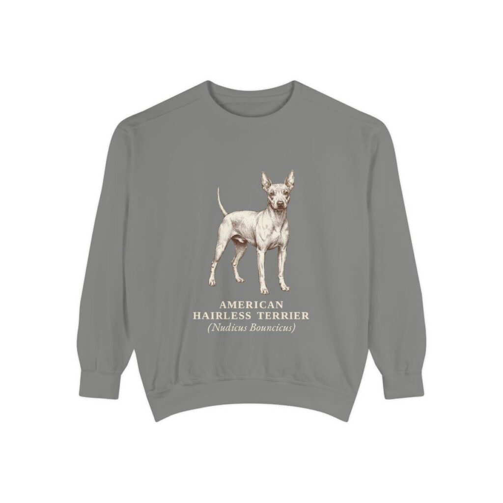 American Hairless Terrier Latin Sweatshirt, Grey, front view