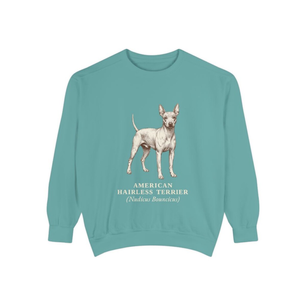American Hairless Terrier Latin Sweatshirt, Seafoam, front view