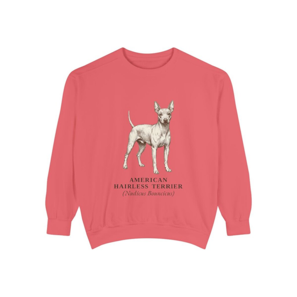 American Hairless Terrier Latin Sweatshirt, Watermelon, front view