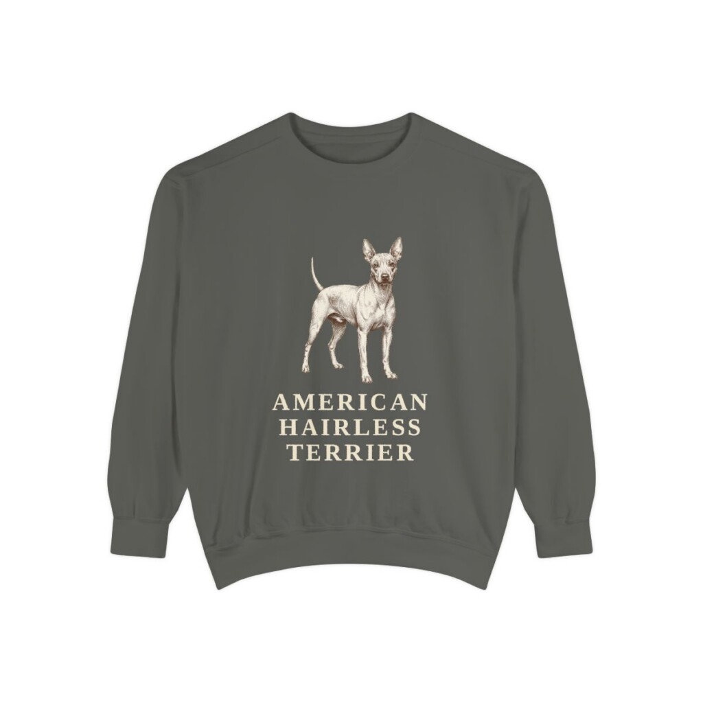 American Hairless Terrier Sweatshirt, Pepper, front view