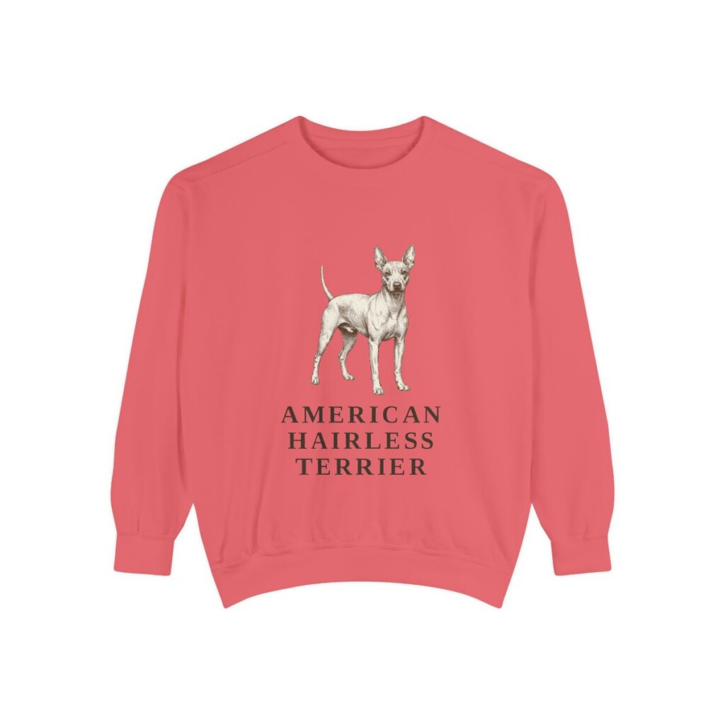 American Hairless Terrier Sweatshirt, Watermelon, front view