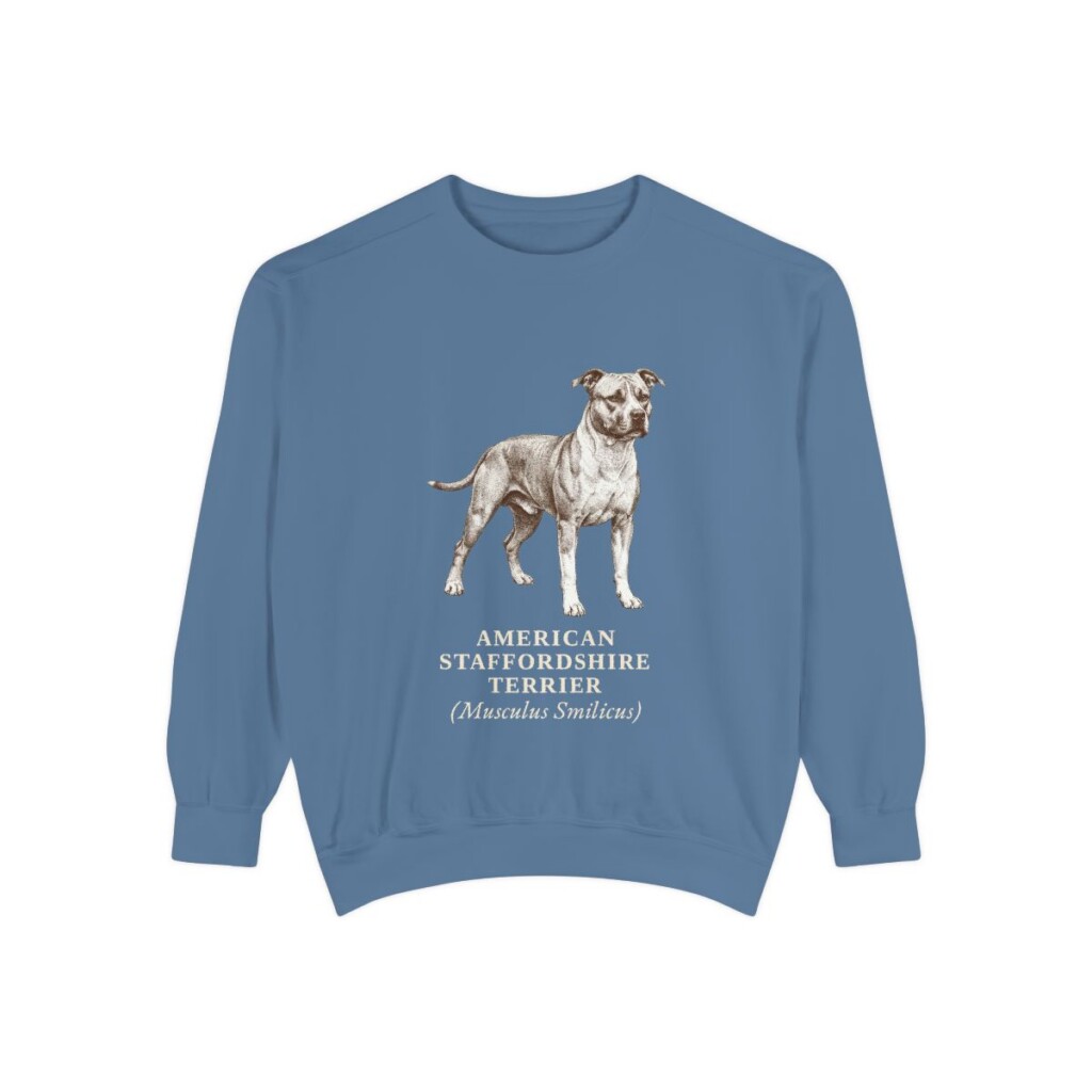 American Staffordshire Terrier Latin Sweatshirt, Blue Jean, front view