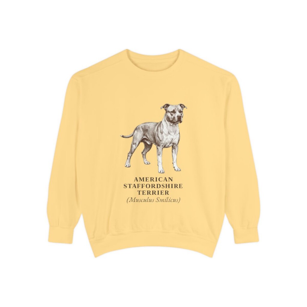 American Staffordshire Terrier Latin Sweatshirt, Butter, front view