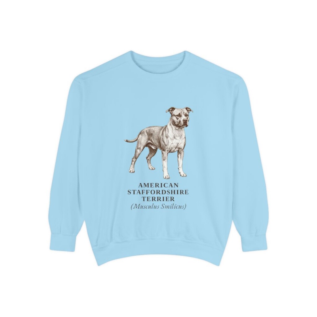 American Staffordshire Terrier Latin Sweatshirt, Chambray, front view
