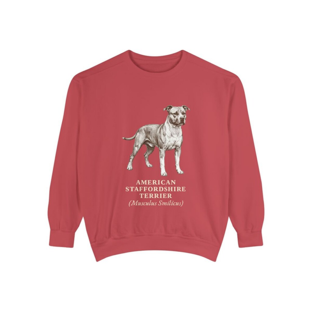 American Staffordshire Terrier Latin Sweatshirt, Crimson, front view