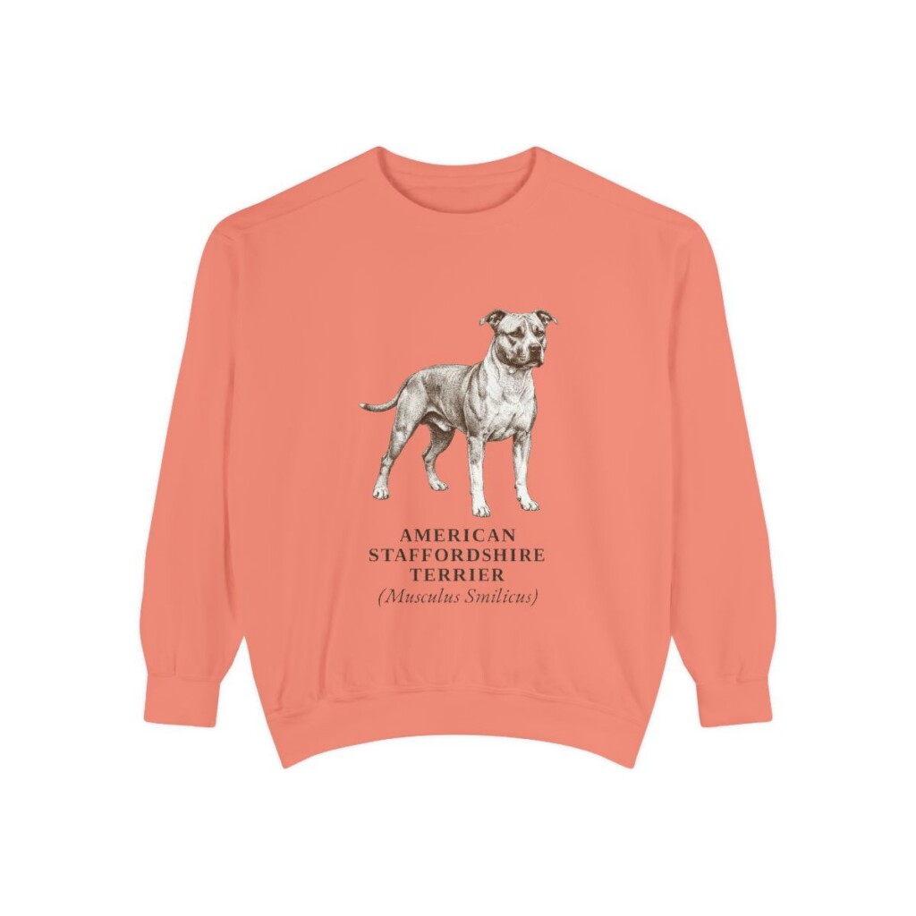 American Staffordshire Terrier Latin Sweatshirt, Terracotta, front view