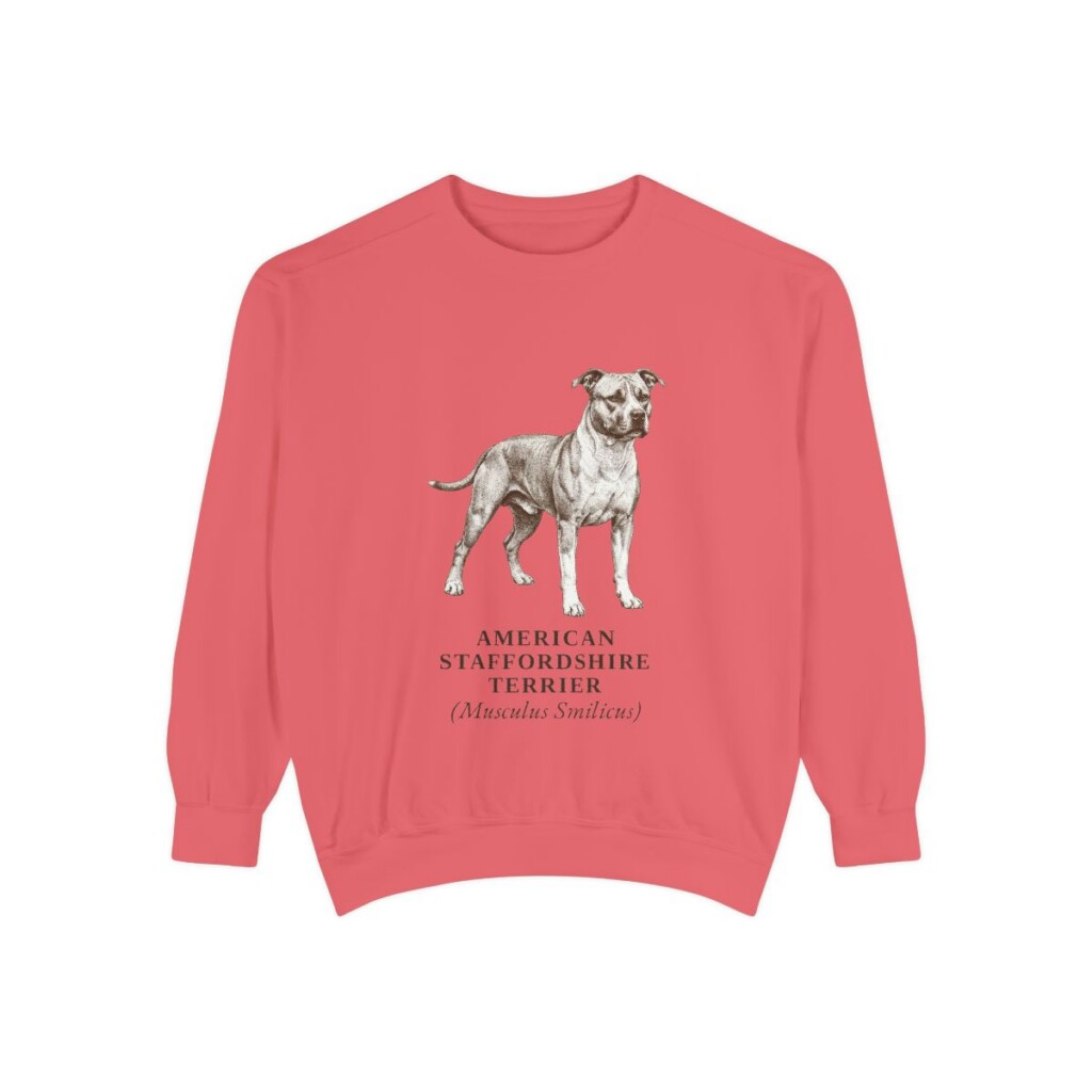 American Staffordshire Terrier Latin Sweatshirt, Watermelon, front view