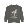 American Staffordshire Terrier Sweatshirt, Pepper, front view