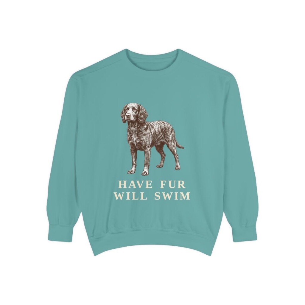 American Water Spaniel Humor Sweatshirt, Seafoam, front view