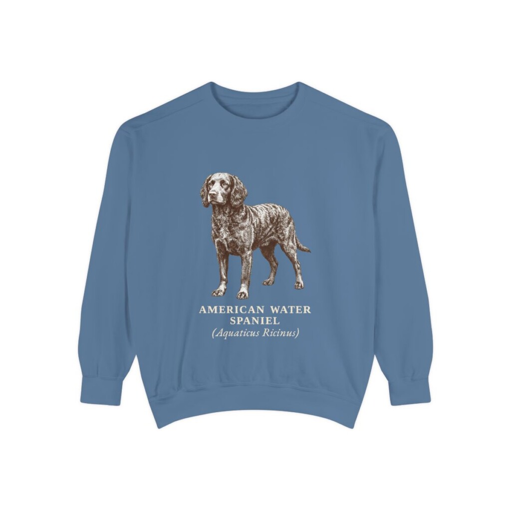 American Water Spaniel Latin Sweatshirt, Blue Jean, front view
