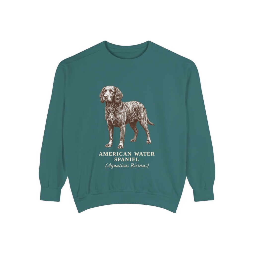 American Water Spaniel Latin Sweatshirt, Blue Spruce, front view