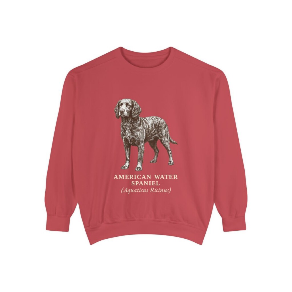 American Water Spaniel Latin Sweatshirt, Crimson, front view