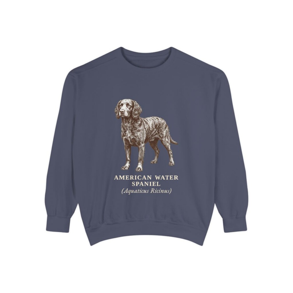 American Water Spaniel Latin Sweatshirt, Denim, front view