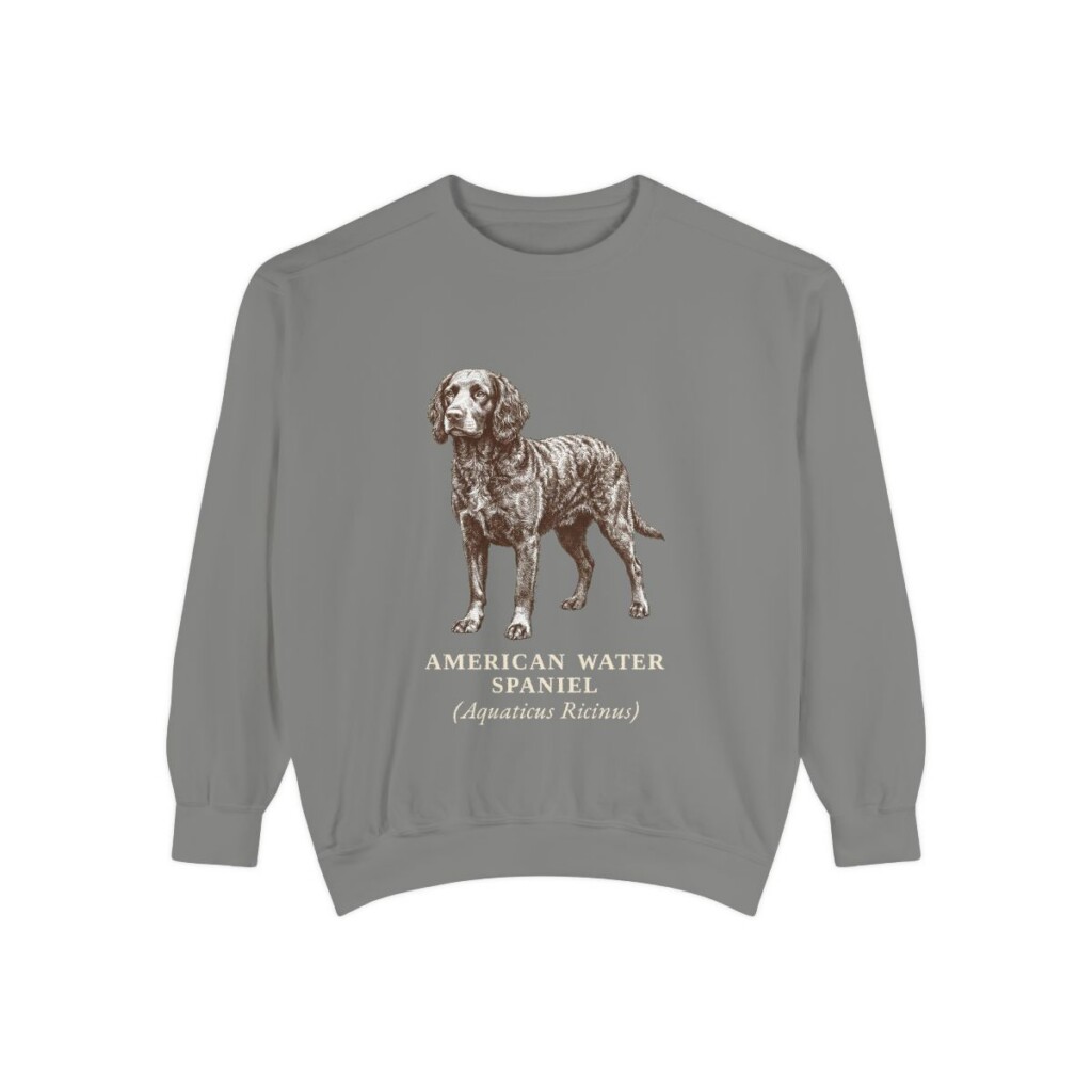 American Water Spaniel Latin Sweatshirt, Grey, front view