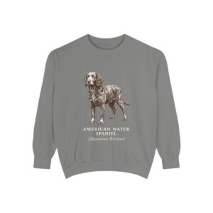 American Water Spaniel Latin Sweatshirt, Grey, front view