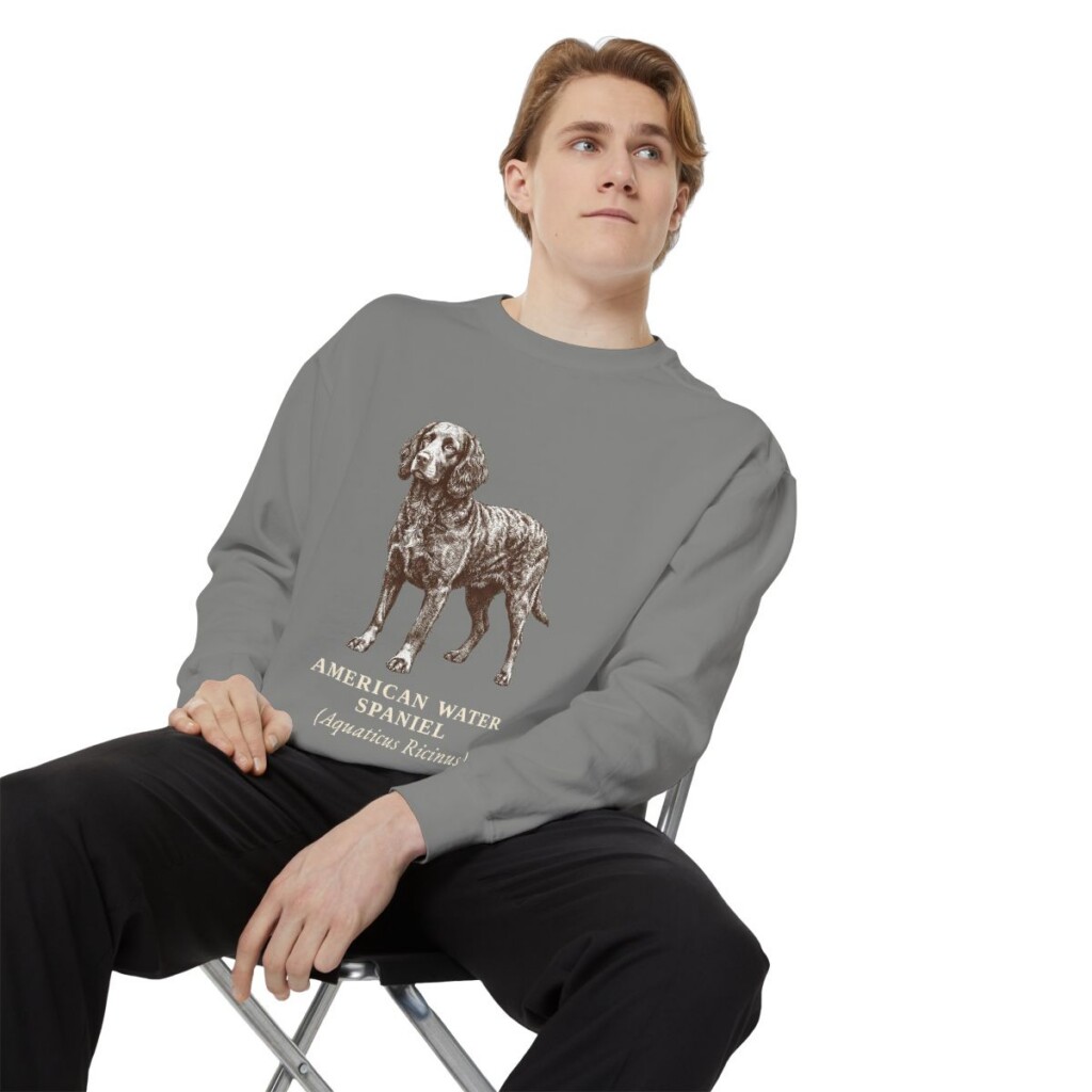 American Water Spaniel Latin Sweatshirt, Grey, person 1 context