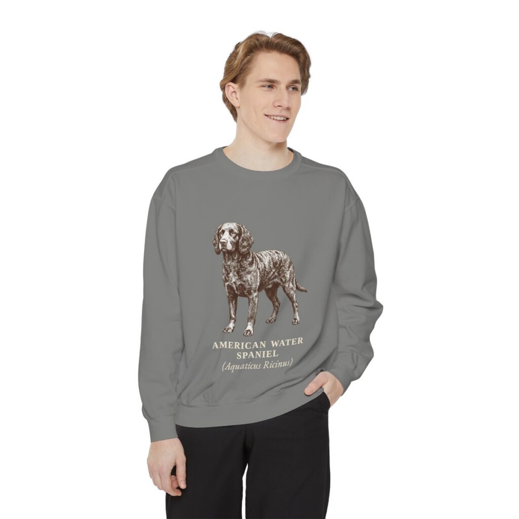 American Water Spaniel Latin Sweatshirt, Grey, person 1 front