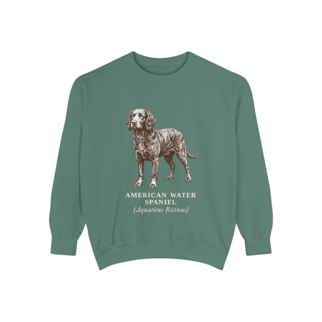 American Water Spaniel Latin Sweatshirt, Light Green, front view
