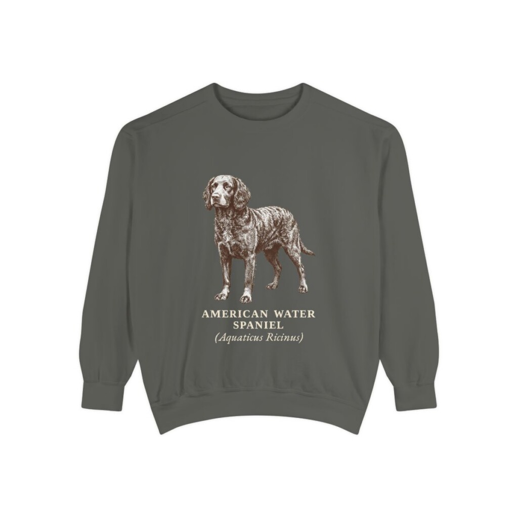 American Water Spaniel Latin Sweatshirt, Pepper, front view