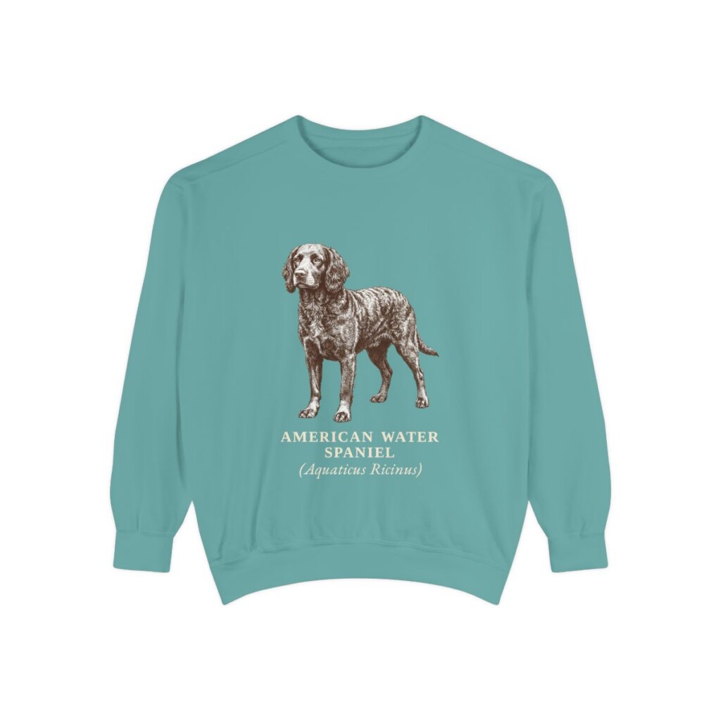 American Water Spaniel Latin Sweatshirt, Seafoam, front view