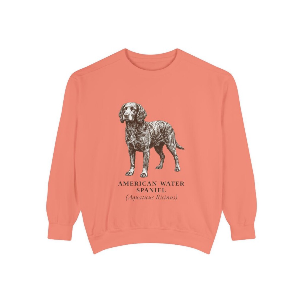 American Water Spaniel Latin Sweatshirt, Terracotta, front view