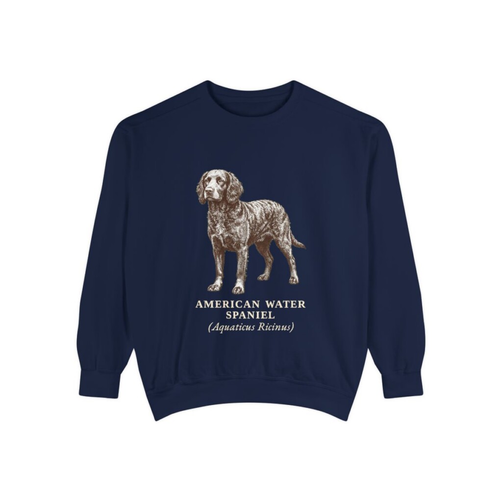 American Water Spaniel Latin Sweatshirt, True Navy, front view