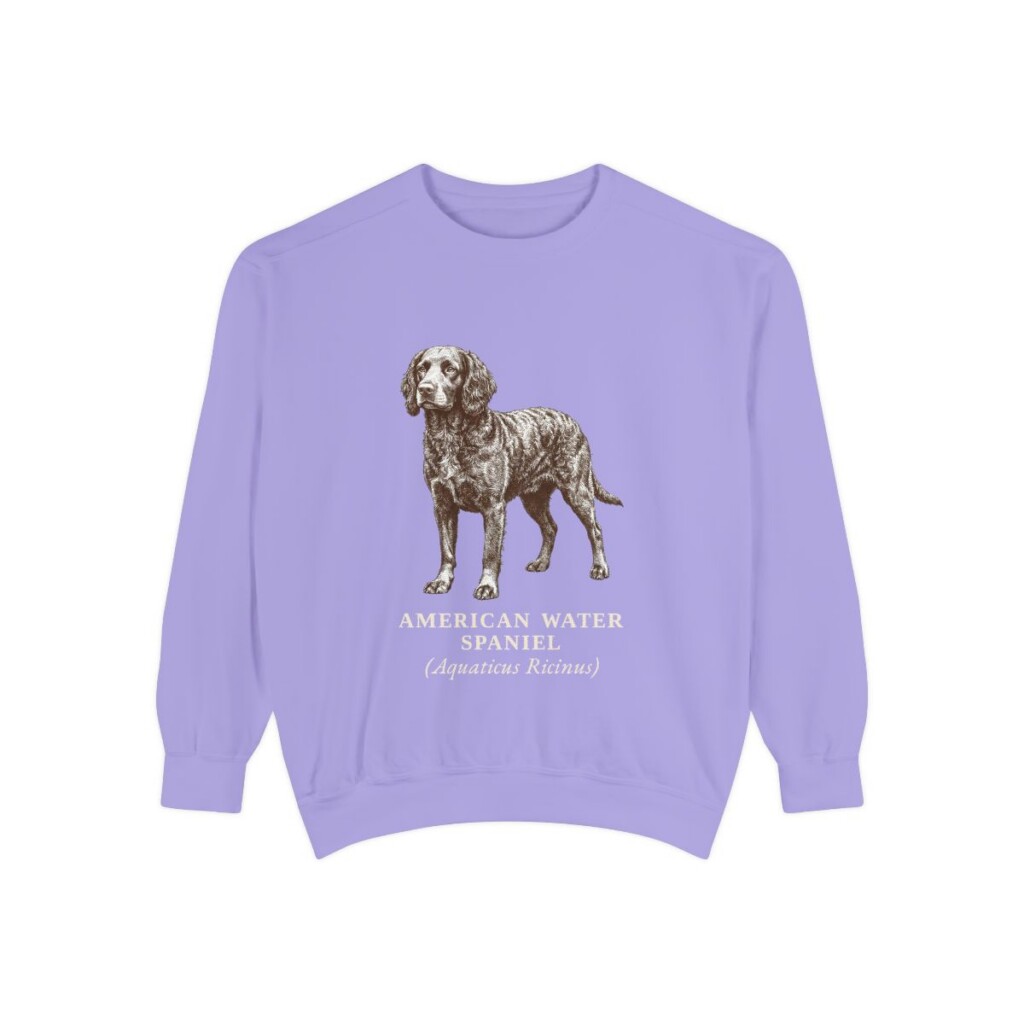American Water Spaniel Latin Sweatshirt, Violet, front view