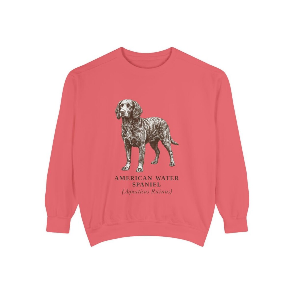American Water Spaniel Latin Sweatshirt, Watermelon, front view