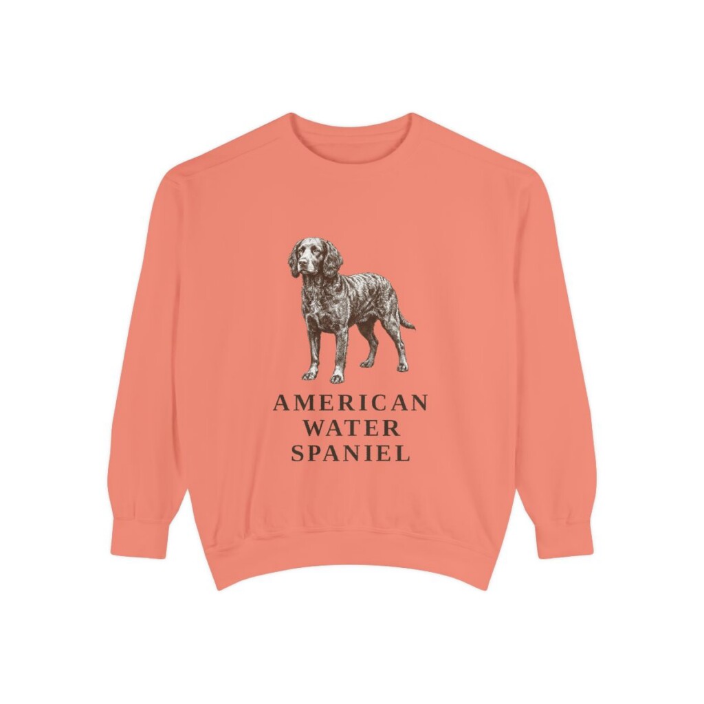 american-water-spaniel-sweatshirt-terracotta American Water Spaniel Sweatshirt, Terracotta, front view
